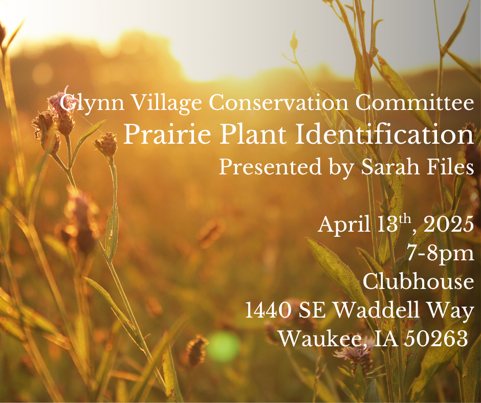 Prairie Plant Presentation Image